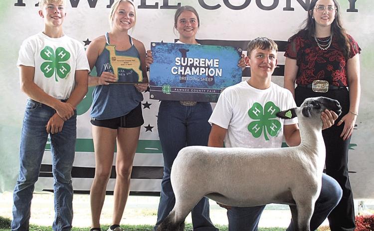 Brock Janssen, Supreme Champion Breeding Sheep, Best in Barn Back row: Evan Christen, Sheep Superintendent Dana Meyburrn, Leah Christen, Sheep &amp; Goat Judge Jaylynn Lamd
