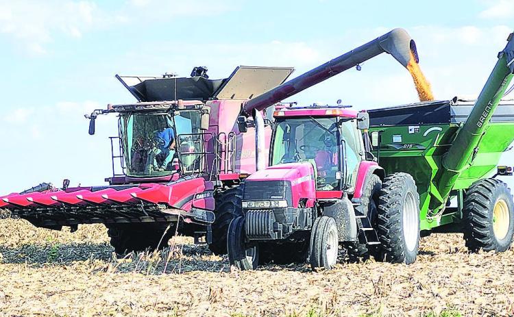 Grant Wenzl harvesting corn on his land north of Pawnee City. When asked about his yields Grant said that his corn was averaging 160 to 180 bushels per acre and soybeans were averaging 55 to 70 bushels per acre.