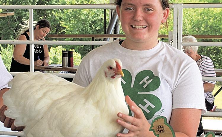 Nevaeh Hill Champion Large Fowl, Supreme Champion Poultry, Best in Barn