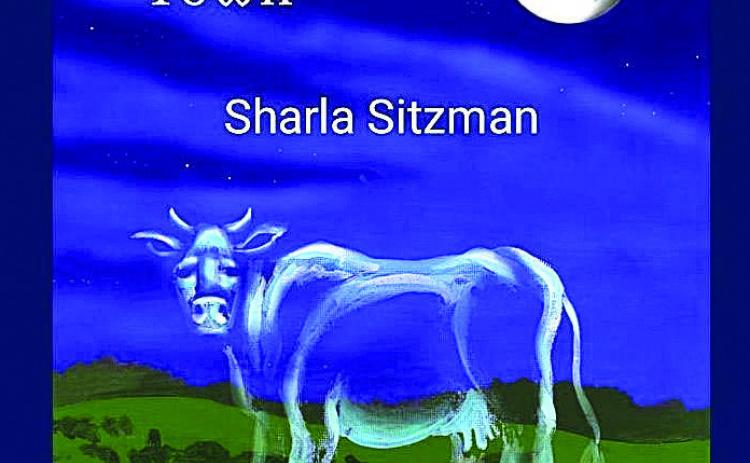 Book of Ghost Stories Coming From Local Author