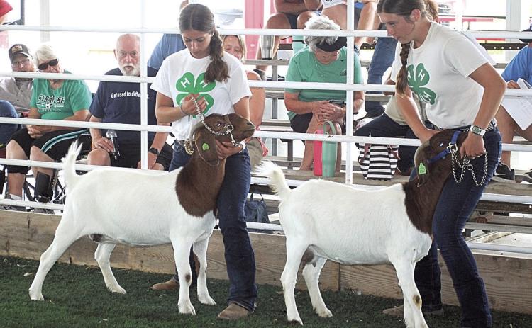 Morgann Friedly (L), Champion Senior Showmanship Hallye Friedly (R), Reserve Seniot Showmanship
