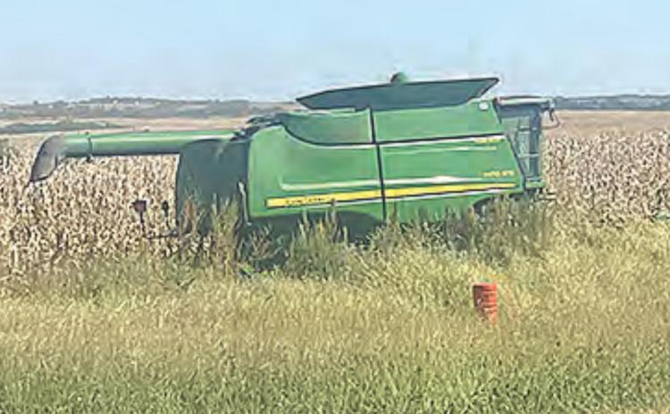 Harvest Season for 2021 has begun
