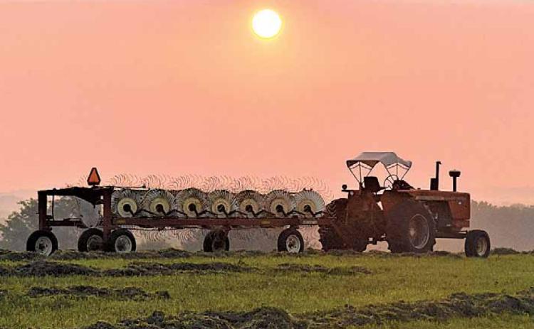 Farmer Sunrise