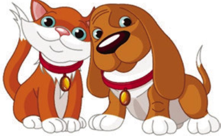 Barking in the New Year: Pet Parents’ Pawsome Resolutions