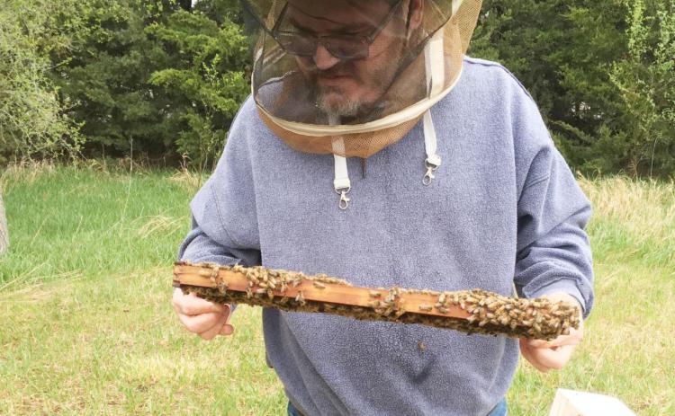Jason Vetrovsky intrigued with bees at a young age