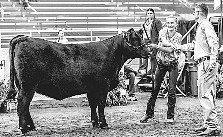 Aubrey Sisco–Champion All Other Breeds Breeding Heifer